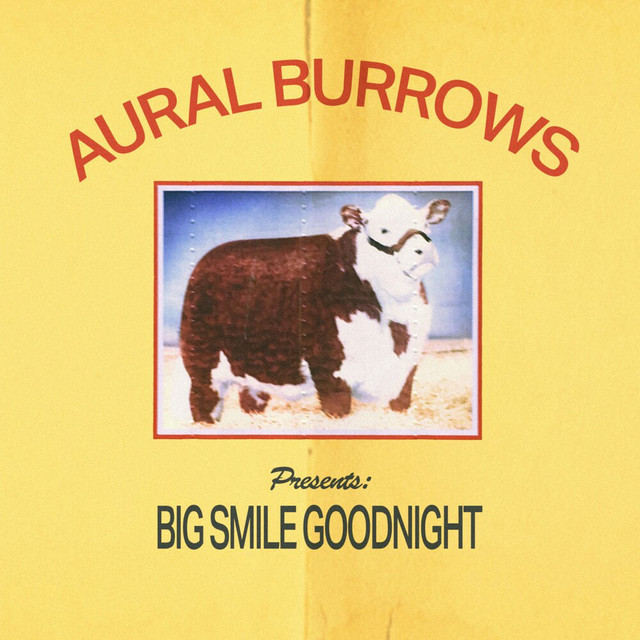 Big Smile Goodnight cover