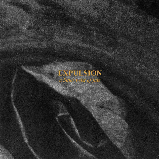 A Bitter Twist of Fate cover