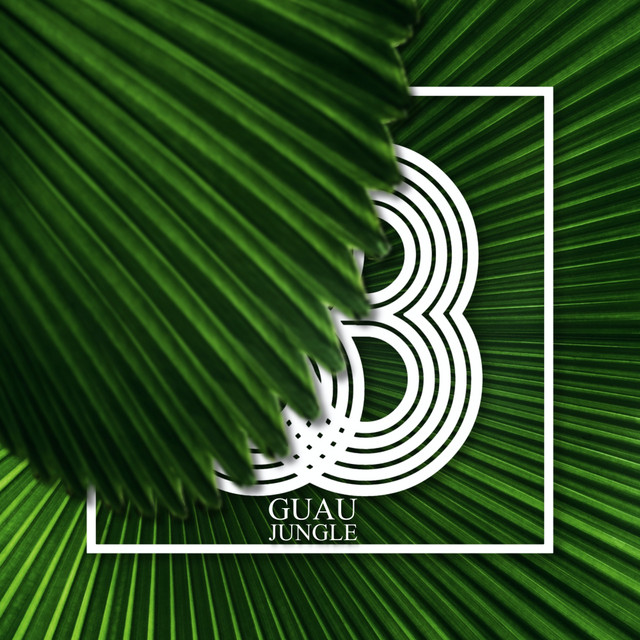 Обкладинка Guau — Jungle