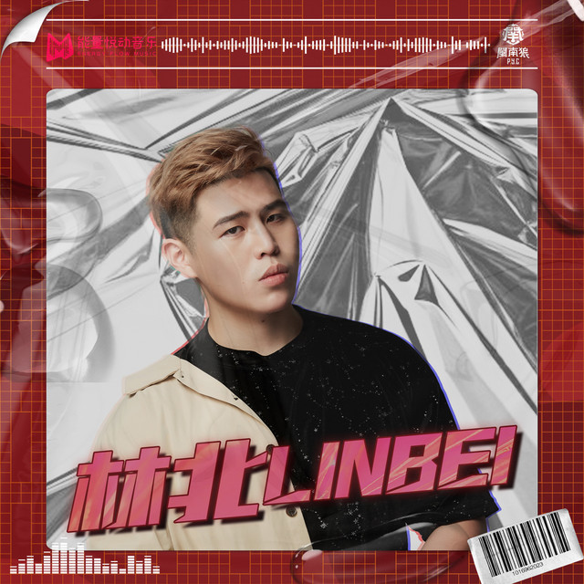 林北 cover art