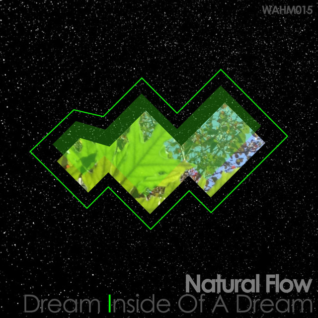 Dream Inside of a Dream LP cover art