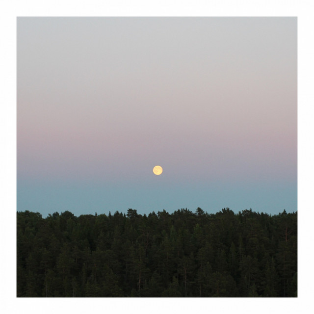 P. Moos Photo