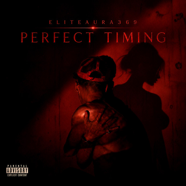 Perfect Timing cover art