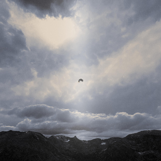 EUPHORIA cover art