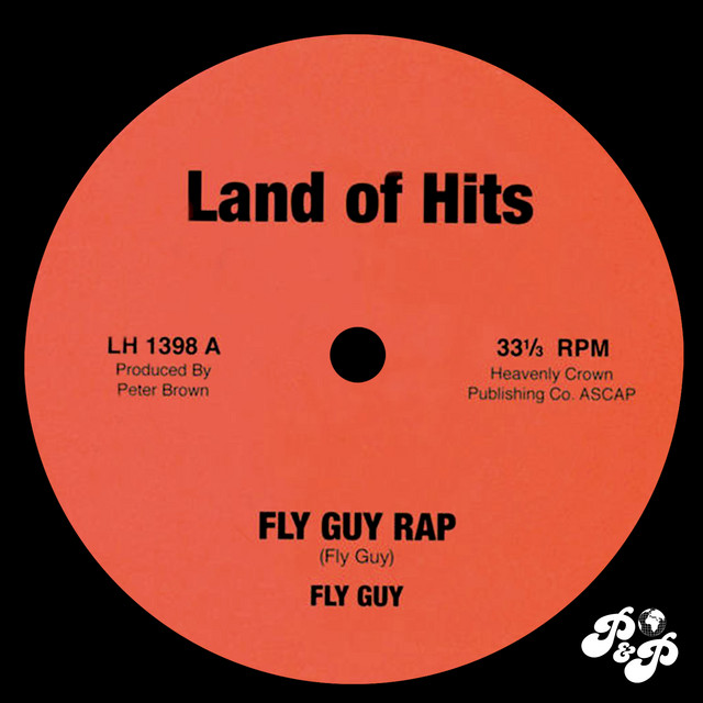 Fly Guy Rap cover art