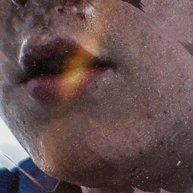 Vampires Will Never Hurt You