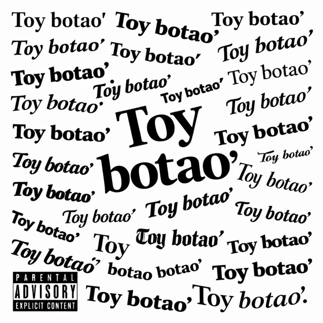 TOY BOTAO