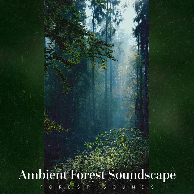 banbi ) CD (現:sumika forest sound