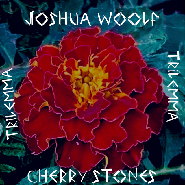 Cherry Stones
