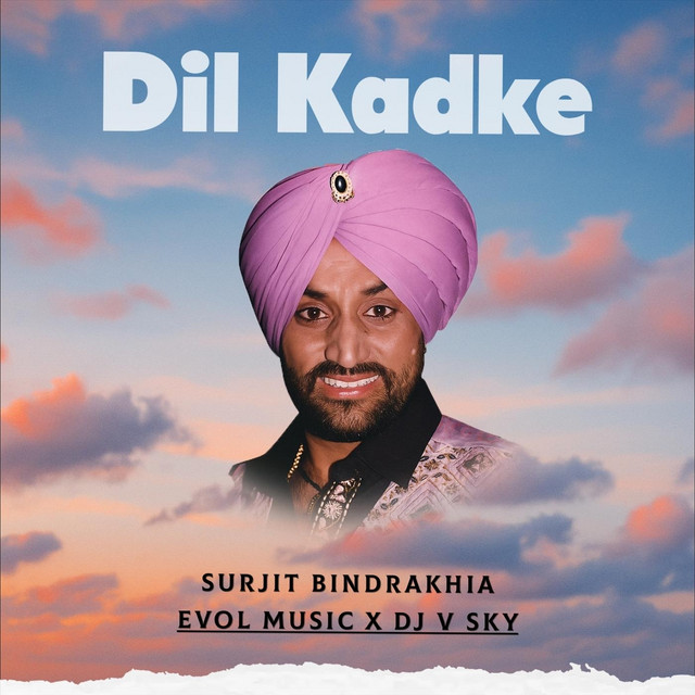 DJ V Sky