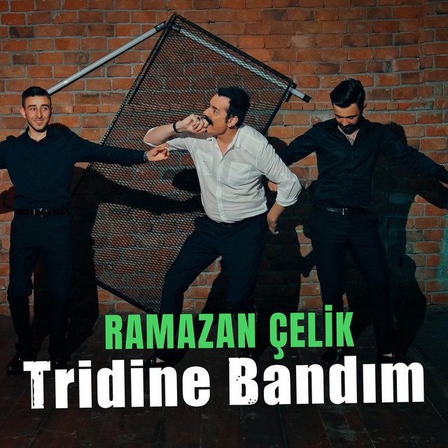 Tridine Bandım album image