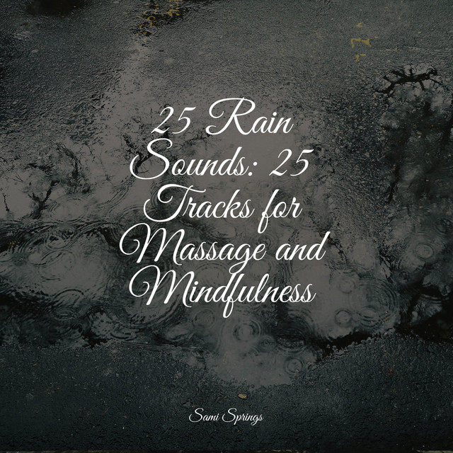 25 Rain Sounds: 25 Tracks for Massage and Mindfulness - Album by ...