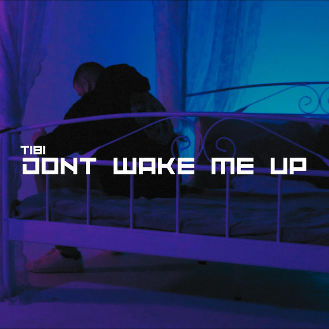 DONT WAKE ME UP cover