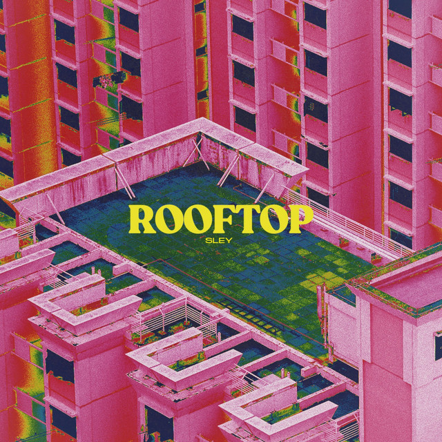 Rooftop cover art