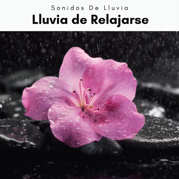 A h o r a: Lluvia de Relajarse - Album by Sonidos De Lluvia | Spotify