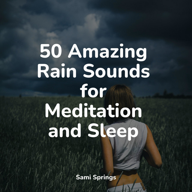 50 Amazing Rain Sounds for Meditation and Sleep - Album by Chakra ...