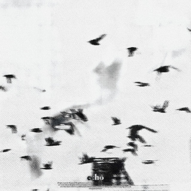 echo cover art