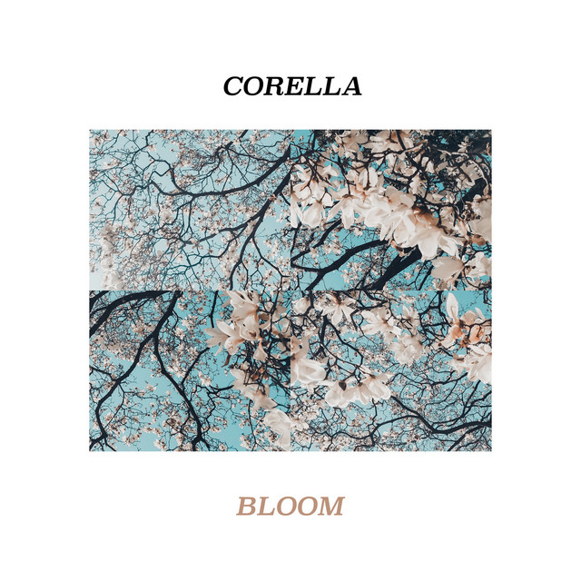 Bloom cover art