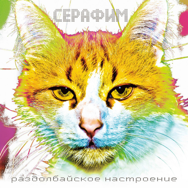 Раздолбайское настроение cover art