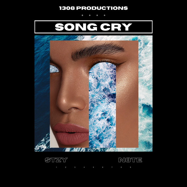 Song Cry - Single by STZY | Spotify