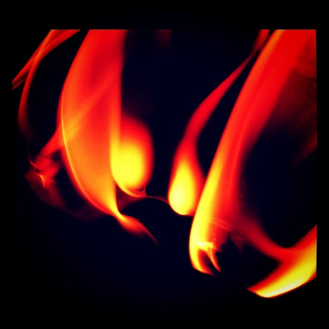 steppers cover art