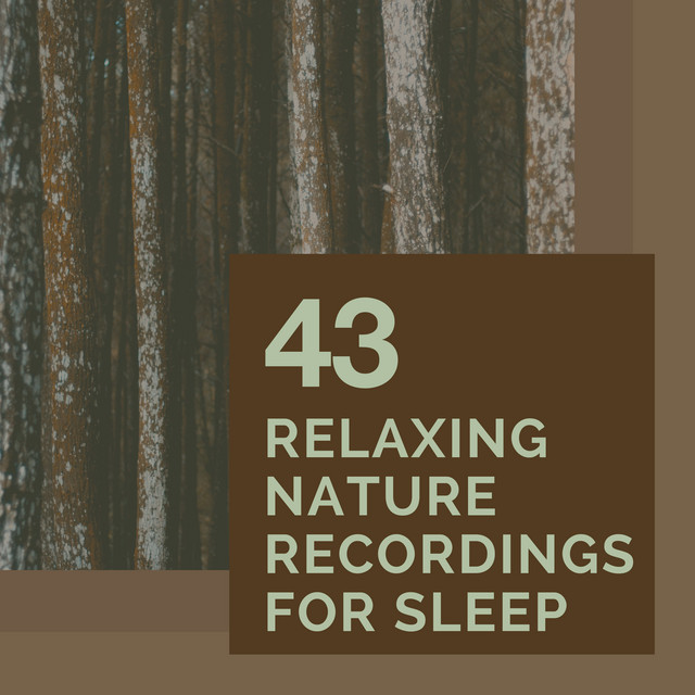 43Relaxing Nature Recordings For Sleep - Album by Sleep Sounds of ...