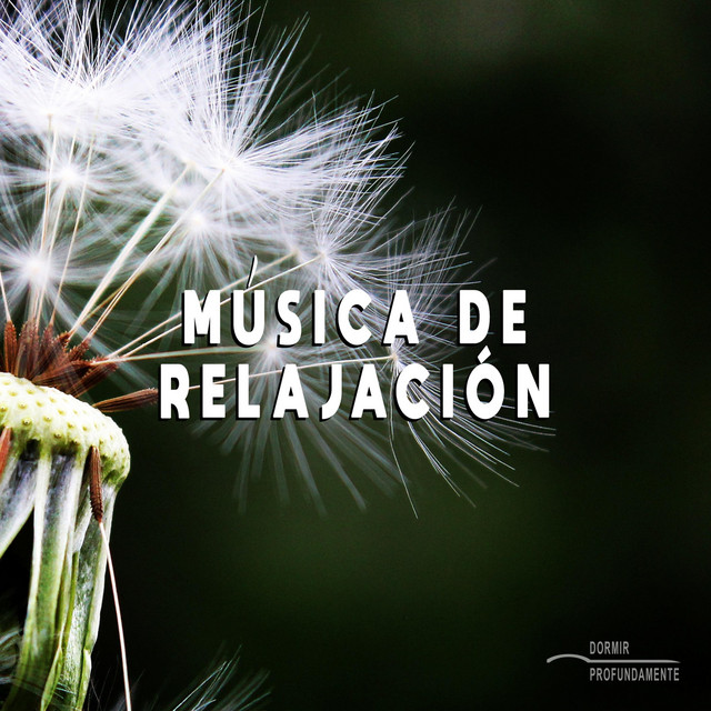 Musica de Relajación cover art