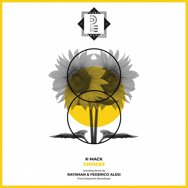 Choices (incl. RaysMan, Federico Alesi Remix) cover art
