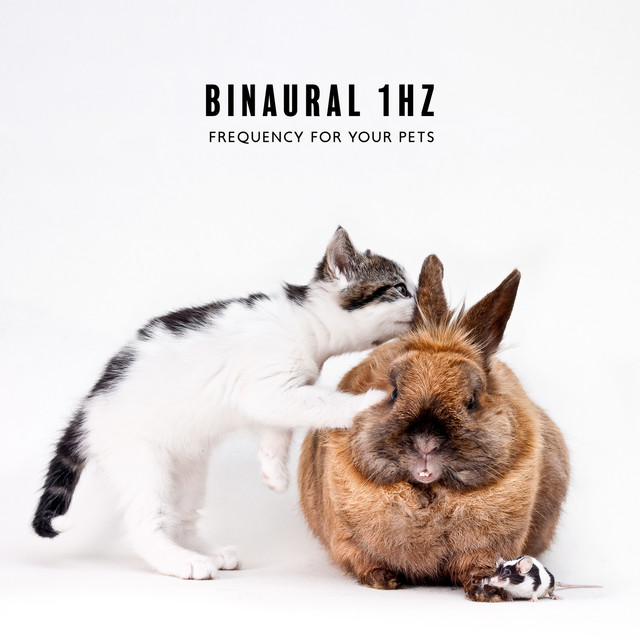 Binaural 1Hz Frequency for Your Pets (Binaural Beats with Delta Waves, Relax Dogs and Cat) cover art