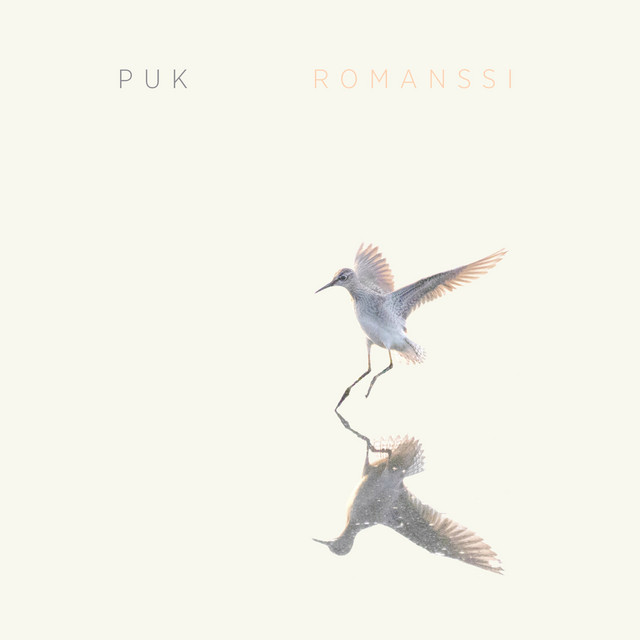 Romanssi cover