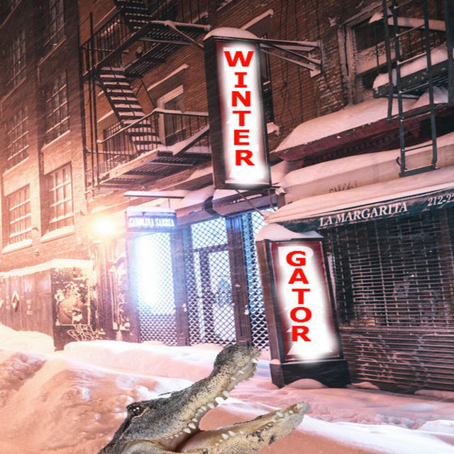 Winter Gator cover art