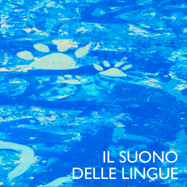 Il suono delle lingue cover