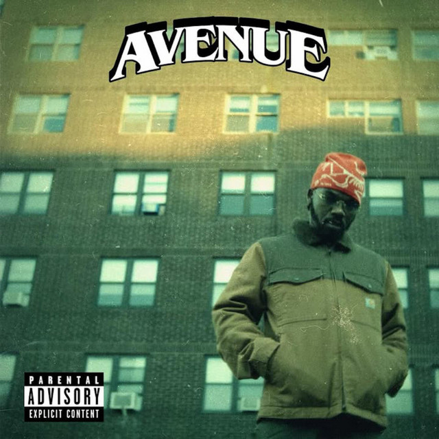 Fortune Favors Risk cover art