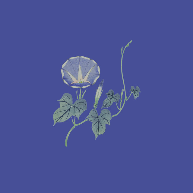 cappuccino cover art