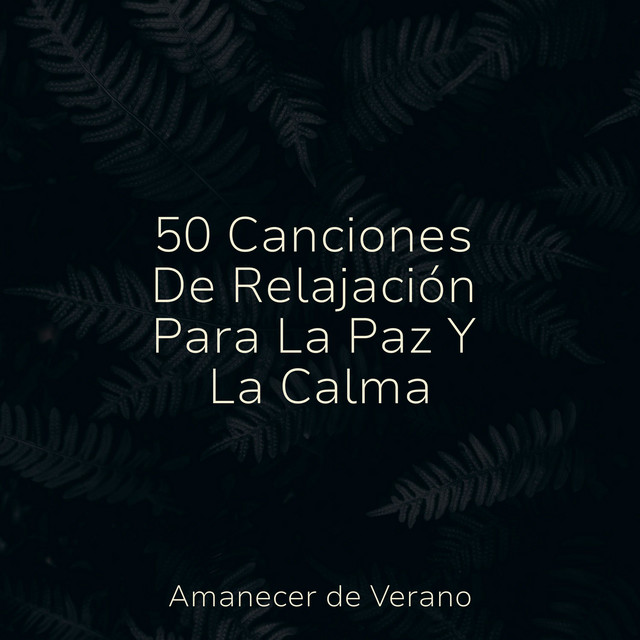 Praderas Suavemente Giratorias – música e letra de Relajación, Lounge ...