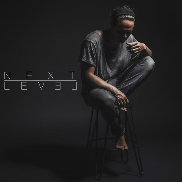NEXT LEVEL cover art