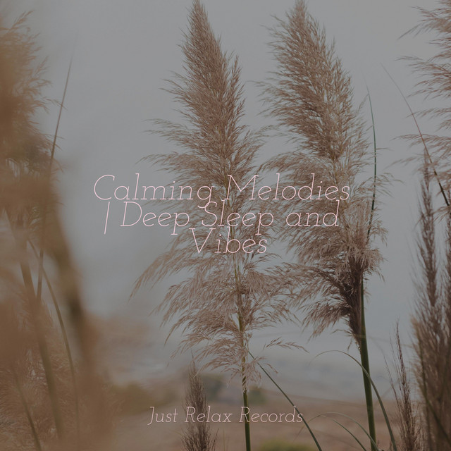 Calming Melodies | Deep Sleep and Vibes - Album by Alpha Waves | Spotify