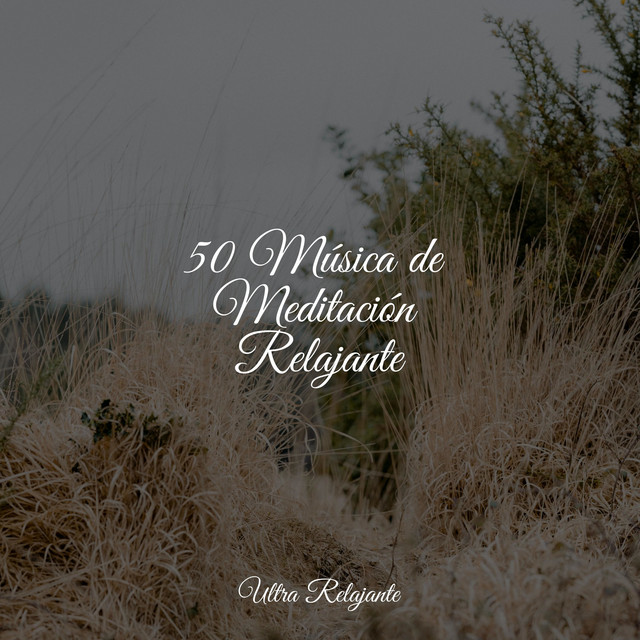 50 Música de Meditación Relajante cover art
