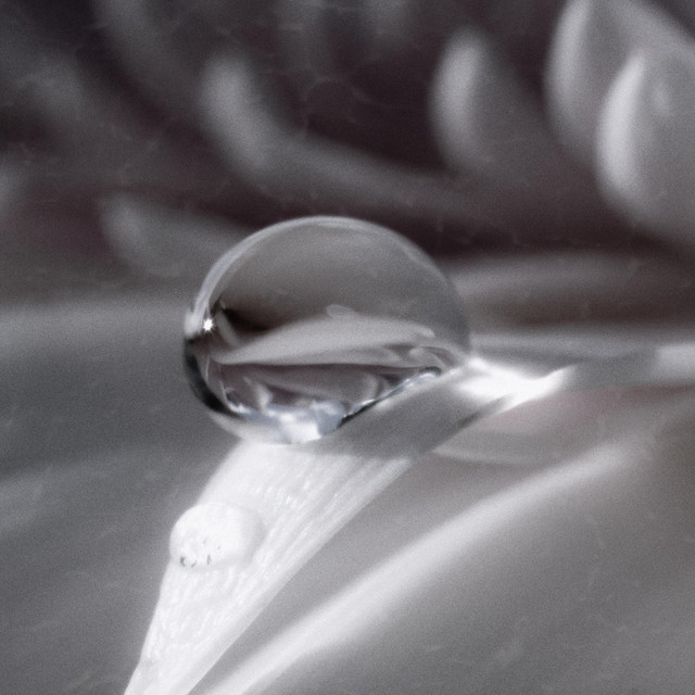 sober cover art