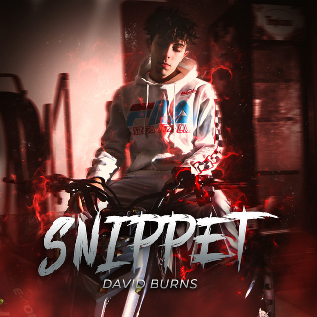 Snippet cover