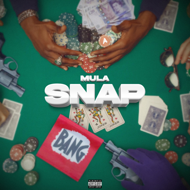 Snap cover art