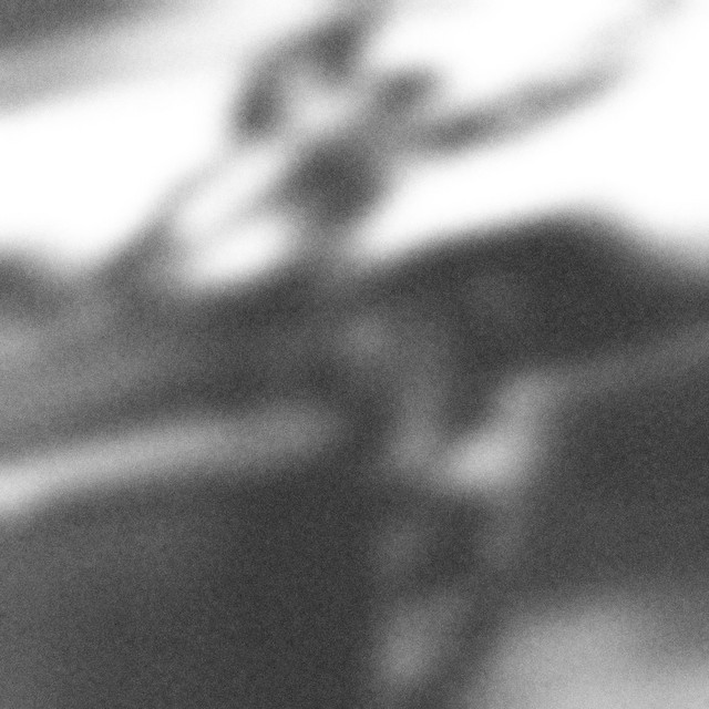 boa cover art