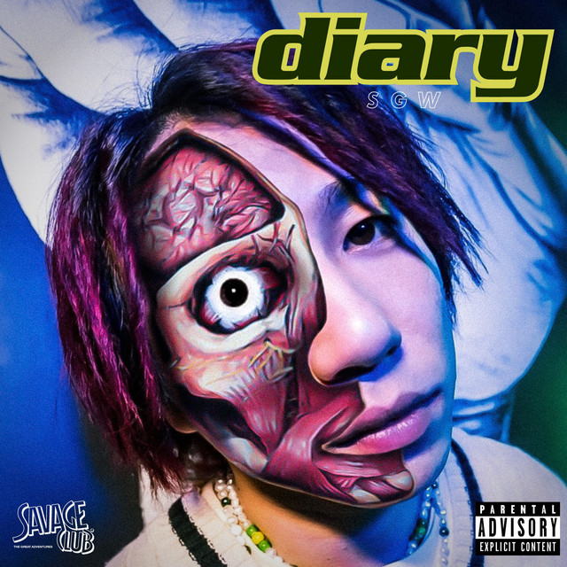 Diary cover art
