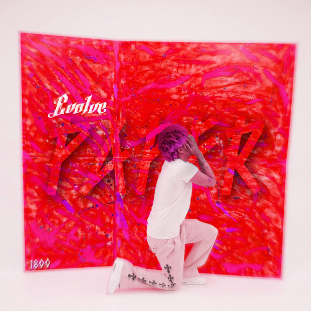 Evolve cover art