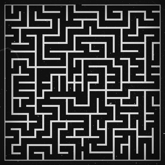 Maze cover