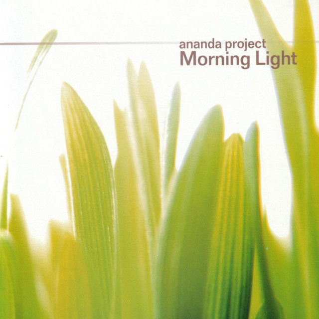 Morning Light cover art