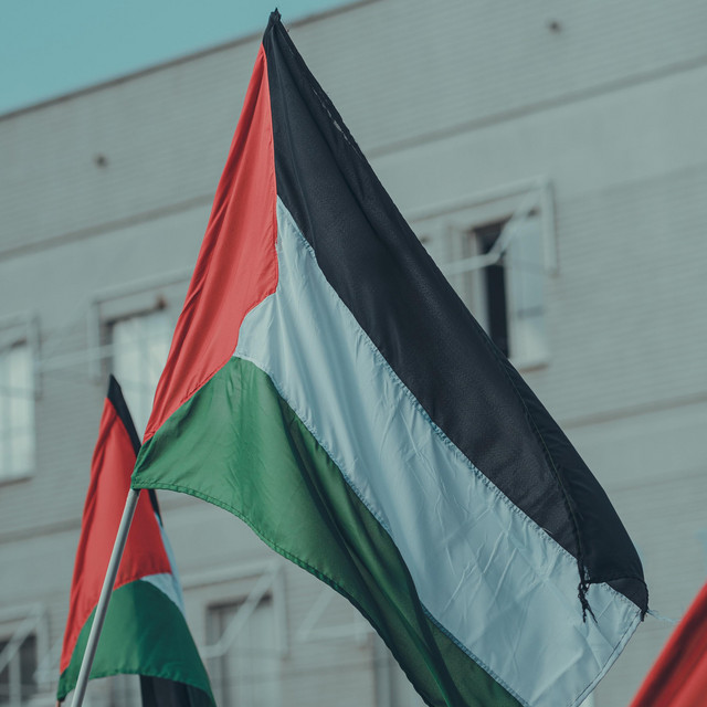 Free Palestine cover art