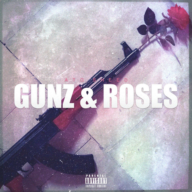 Gunz & Roses cover art