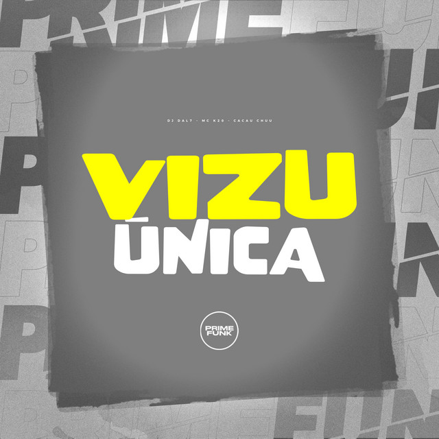 Vizu Única