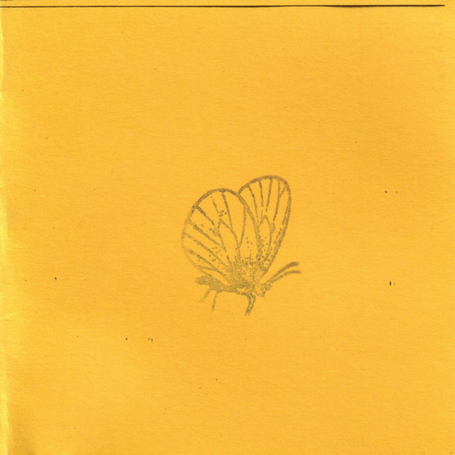Goodbye Vibrations cover art
